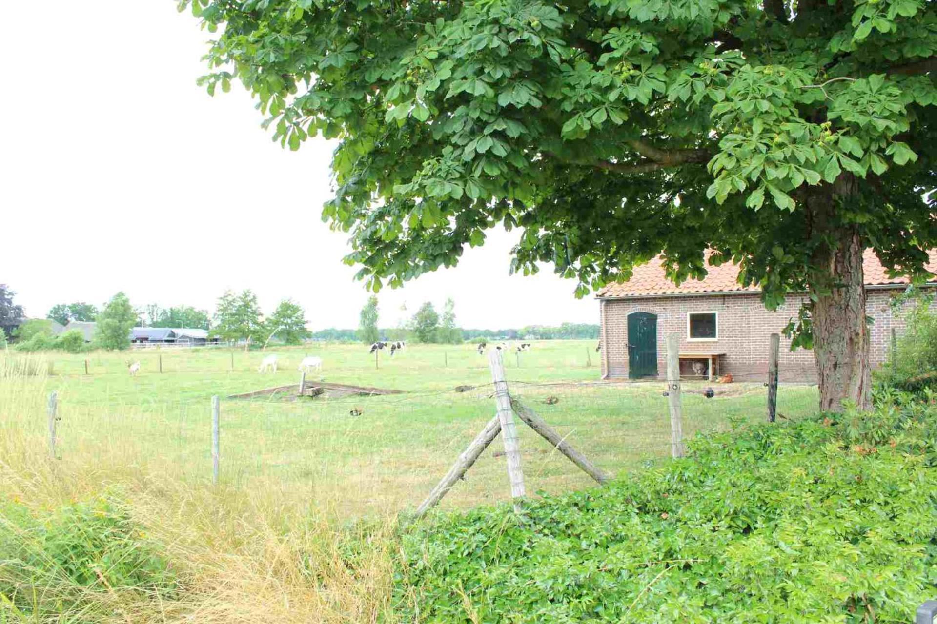 Hofstay195 Achterveld Экстерьер фото
